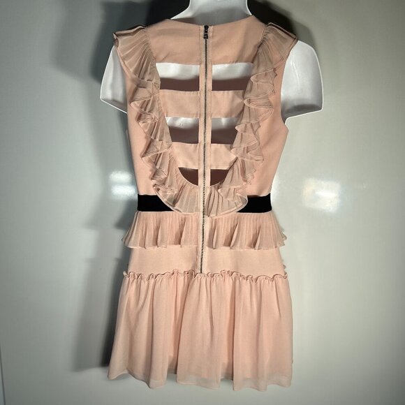 BCBGMaxAzria SZ6 Britt Bare Pink Flowy Dress Cut Outs Fairy Coquette Party - Picture 12 of 14